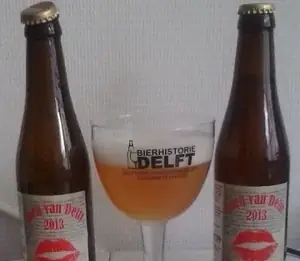De Zoen van Delft 2013